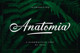 Anatomia Script for Creative Campaigns and Branding