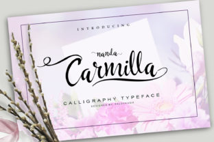 Carmilla: A Versatile Script Handwritten Font for Designers