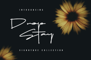Drop Stay: A Script Handwritten Font for Creative Branding