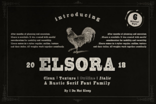 Elsora: A Versatile Sans Serif Font for Vintage Branding