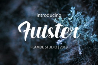 Fuister Script: A Bold Script Font for Handmade Creators