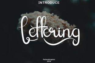 Lettering Script for Modern Web Design and Branding
