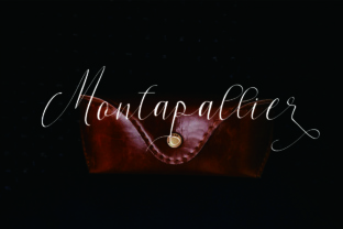 Montapallier Script: A Versatile Font for Modern Web Design