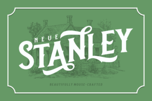 Neue Stanley: A Bold Serif Font for Digital Branding and Web Design
