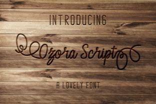 Ozora Script: The Ultimate Script Font for Dynamic Digital Campaigns