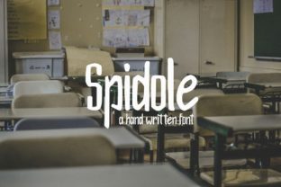 Spidole: A Script Handwritten Font That Elevates Every Design